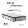 Colchao Solteiro King Koil Delhi 88x188 - Cinza